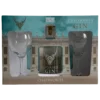 Chatsworth estate gin gift set with two glasses